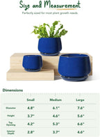 Ceramic Plant Pots Pot