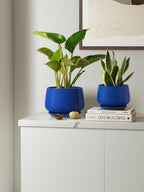 Ceramic Plant Pots Pot
