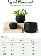 Ceramic Plant Pots Pot