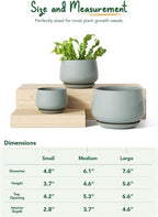 Ceramic Plant Pots Pot
