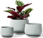 Ceramic Plant Pots Pot