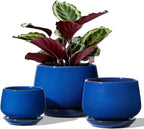 Ceramic Plant Pots Pot