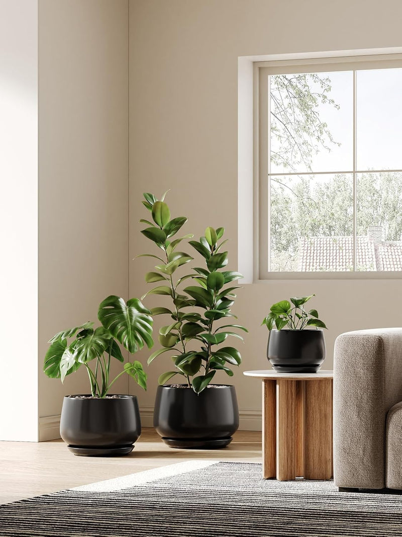 Large Ceramic Plant Pots