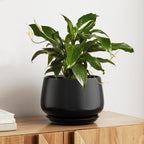Ceramic Plant Pots Pot