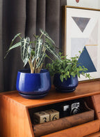 Ceramic Plant Pots Pot