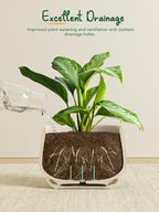 Ceramic Plant Pots Pot