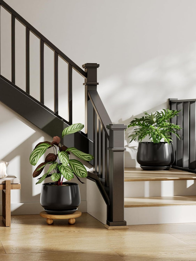 Large Ceramic Plant Pots