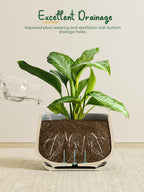 Ceramic Plant Pots Pot