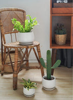Ceramic Plant Pots Pot