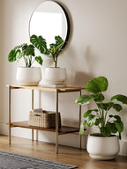 Ceramic Plant Pots Pot
