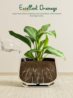 Ceramic Plant Pots Pot