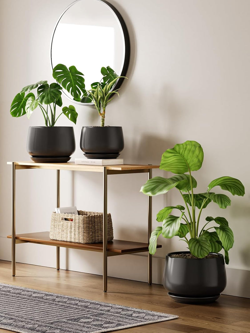 Large Ceramic Plant Pots
