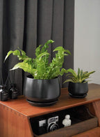 Ceramic Plant Pots Pot