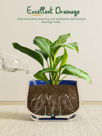 Ceramic Plant Pots Pot
