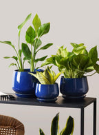 Ceramic Plant Pots Pot