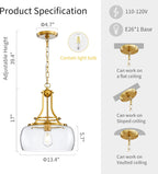 Chandelier Rustic Farmhouse Industrial Round Ceiling Pendant LED