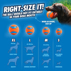 Chuckit! Fetch Medley Gen 3 Medium Dog Balls