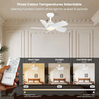 Cjoy Ceiling Fans with Lights 42 Inch