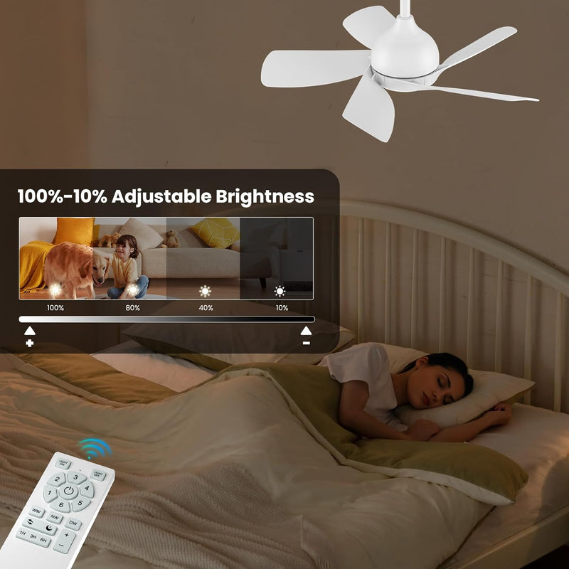 30 Inch Ceiling Fan Light Woodgrain Fans