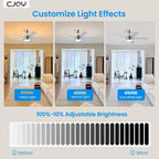 Cjoy Ceiling Fans with Lights 42 Inch
