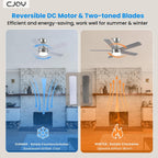 Cjoy Ceiling Fans with Lights 42 Inch