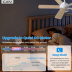 Cjoy Ceiling Fans with Lights 42 Inch