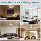 Cjoy Ceiling Fans with Lights 42 Inch
