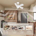 Cjoy Ceiling Fans with Lights 42 Inch