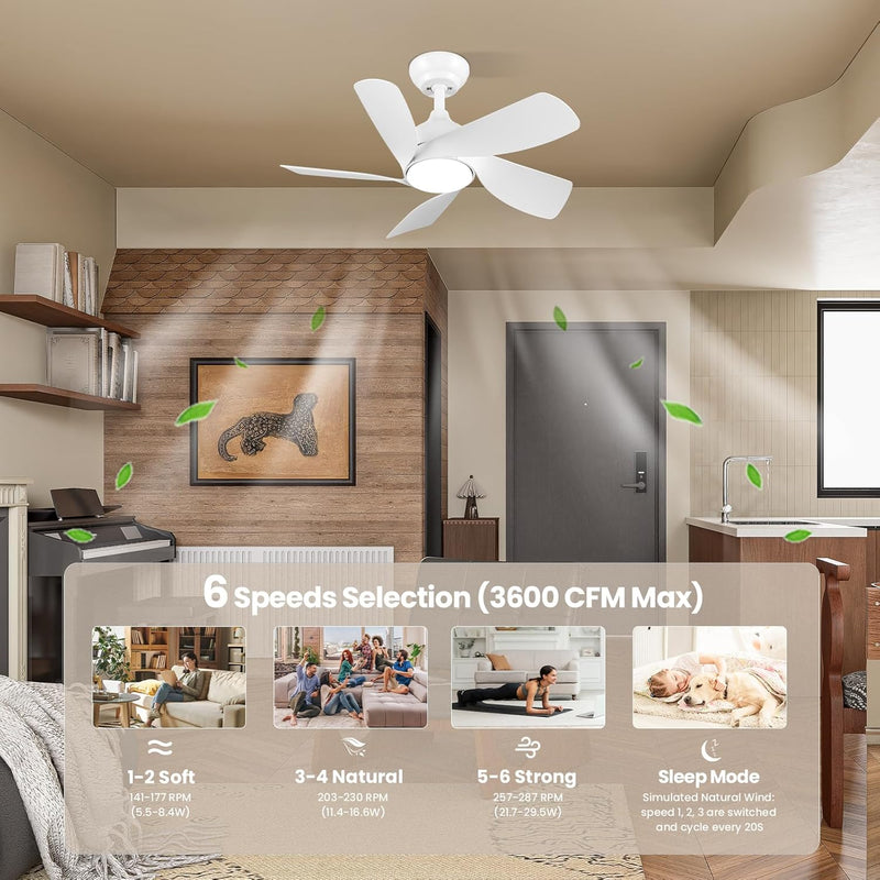 30 Inch Ceiling Fan Light Woodgrain Fans