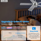 Cjoy Ceiling Fans with Lights 42 Inch
