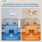 Cjoy Ceiling Fans with Lights 42 Inch