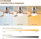 Cjoy Ceiling Fans with Lights 42 Inch Flush