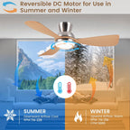 Cjoy Ceiling Fans with Lights 42 Inch Flush