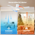 Cjoy Ceiling Fans with Lights 42 Inch Flush