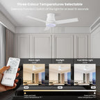 Cjoy Ceiling Fans with Lights 42 Inch Flush