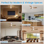 Cjoy Ceiling Fans with Lights and Remote Control