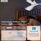 Cjoy Ceiling Fans with Lights and Remote Control