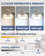 Cjoy Ceiling Fans with Lights and Remote Fan