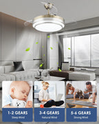 Cjoy Ceiling Fans with Lights and Remote Fan