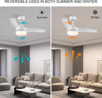 Cjoy Ceiling Fans with Lights Dimmable 42'' Lamps