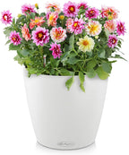 Classico Colour 43 Round Planter Plastic Self-Watering Plant