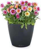 Classico Colour 43 Round Planter Plastic Self-Watering Plant