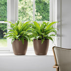 Classico Colour 43 Round Planter Plastic Self-Watering Plant
