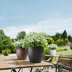 Classico Colour 43 Round Planter Plastic Self-Watering Plant