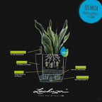 Classico Colour 43 Round Planter Plastic Self-Watering Plant