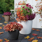 Classico Colour 43 Round Planter Plastic Self-Watering Plant