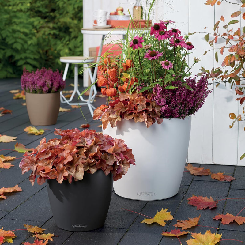 Classico Colour 43 Round Planter Plastic Self-Watering Plant (1 Pack)