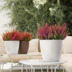 Classico Colour 43 Round Planter Plastic Self-Watering Plant