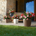 Classico Colour 43 Round Planter Plastic Self-Watering Plant