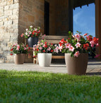 Classico Colour 43 Round Planter Plastic Self-Watering Plant